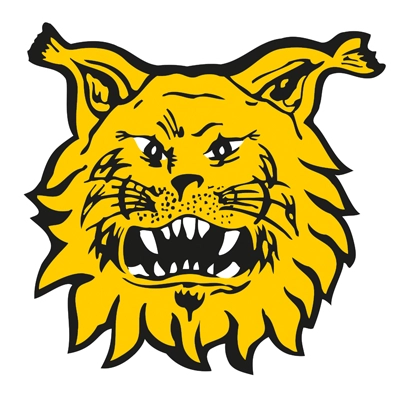 Ilves Tampere